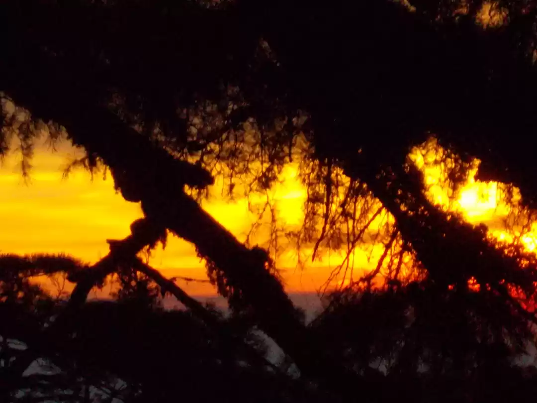 Photo of Evening at Dalhousie