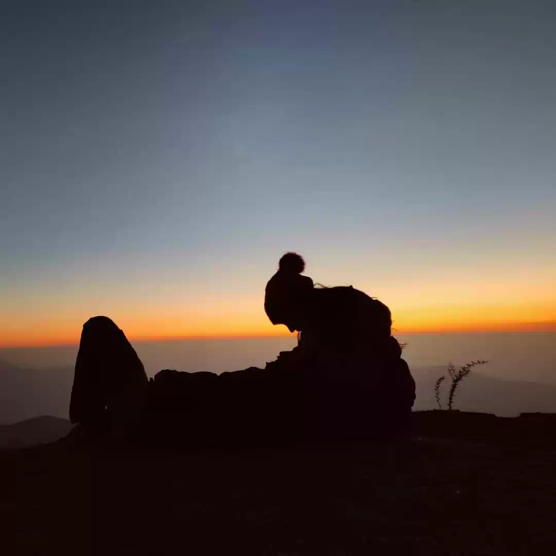 Photo of Some pictures from m