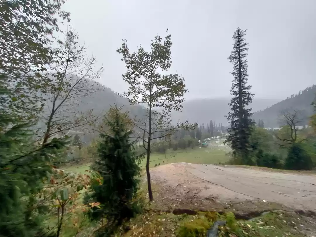 Photo of Solang Valley View P