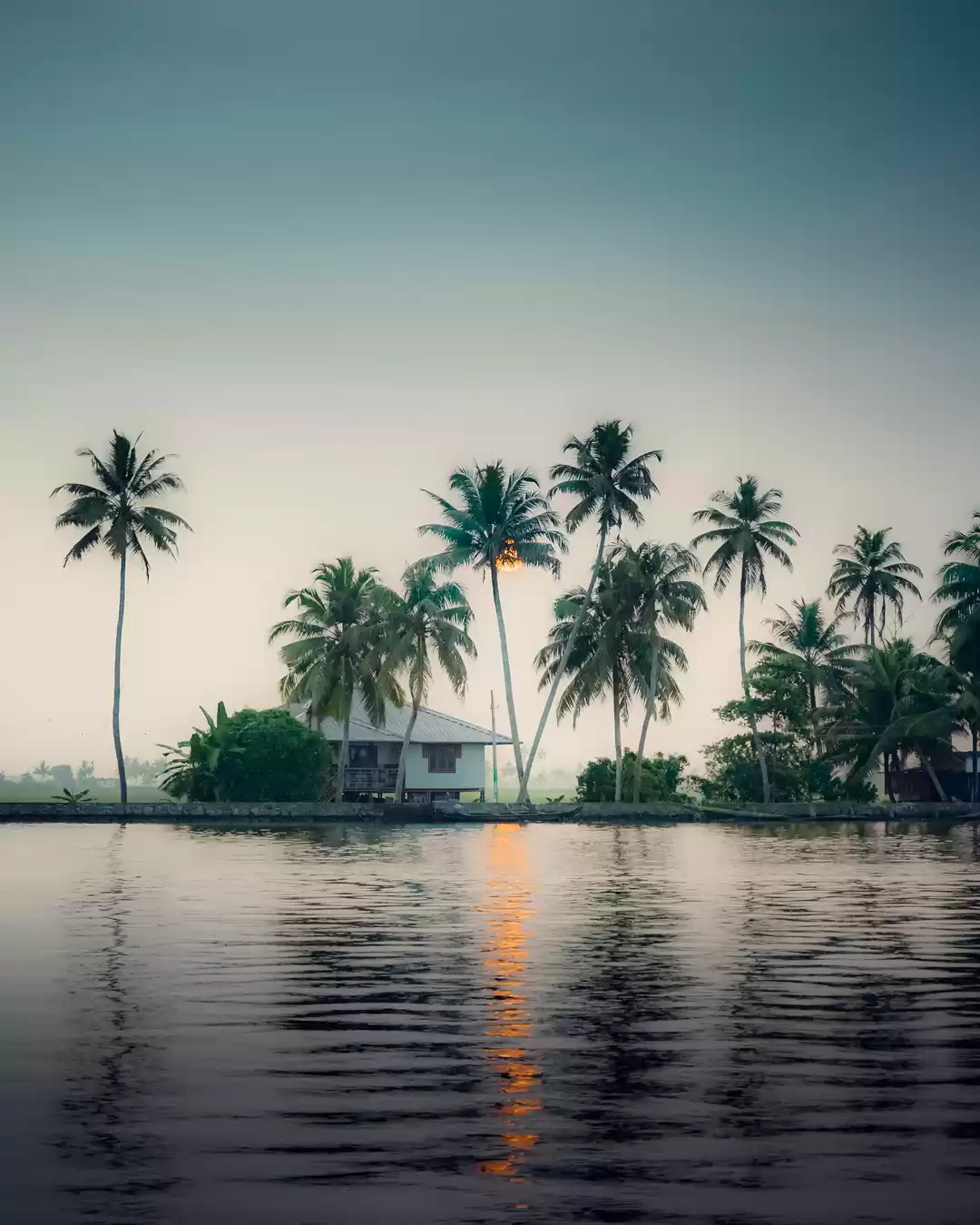 Photo of Alleppey Backwaters,