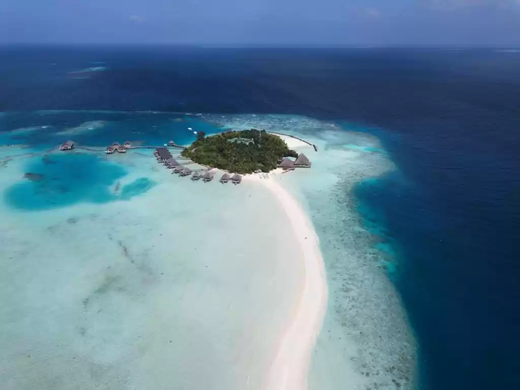 Photo of Feel The Love: Maldi