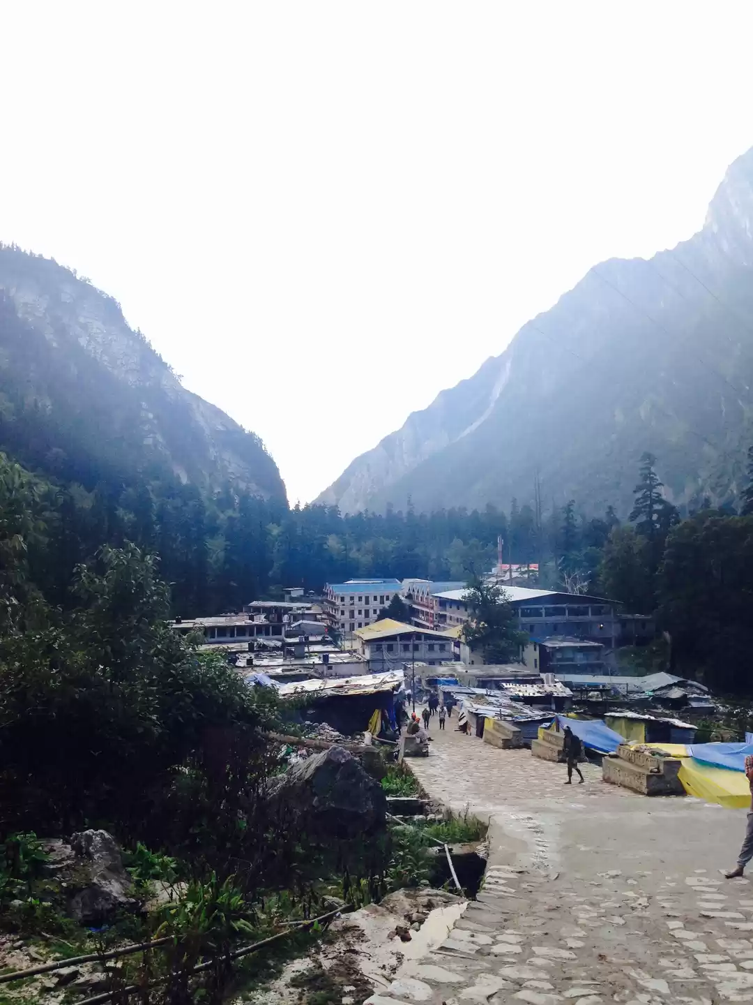 Photo of Walking through my f