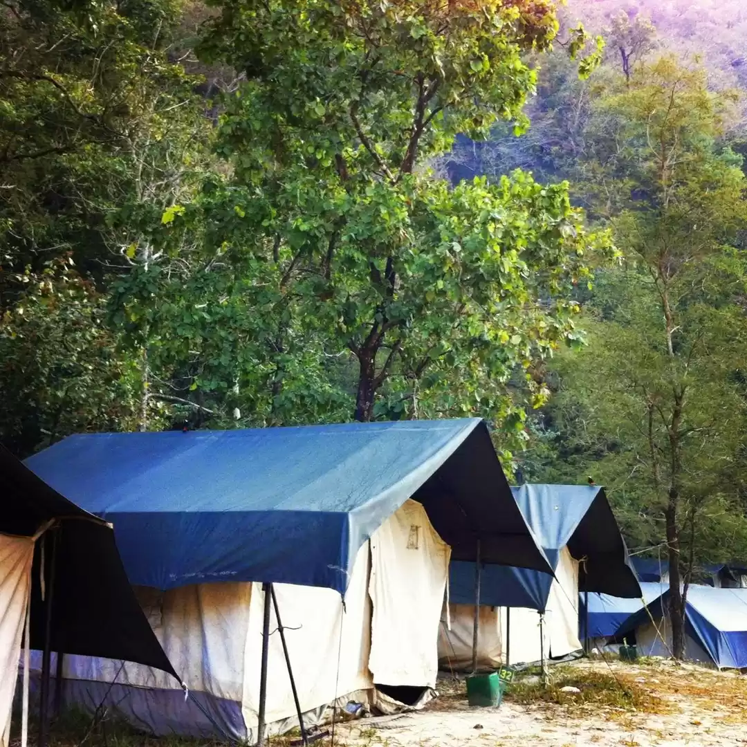 Photo of Travel Quickies : 5 