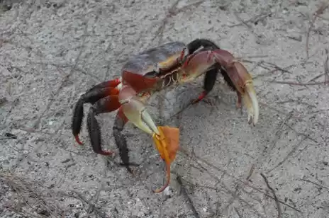 Photo of Exploring the Wilder