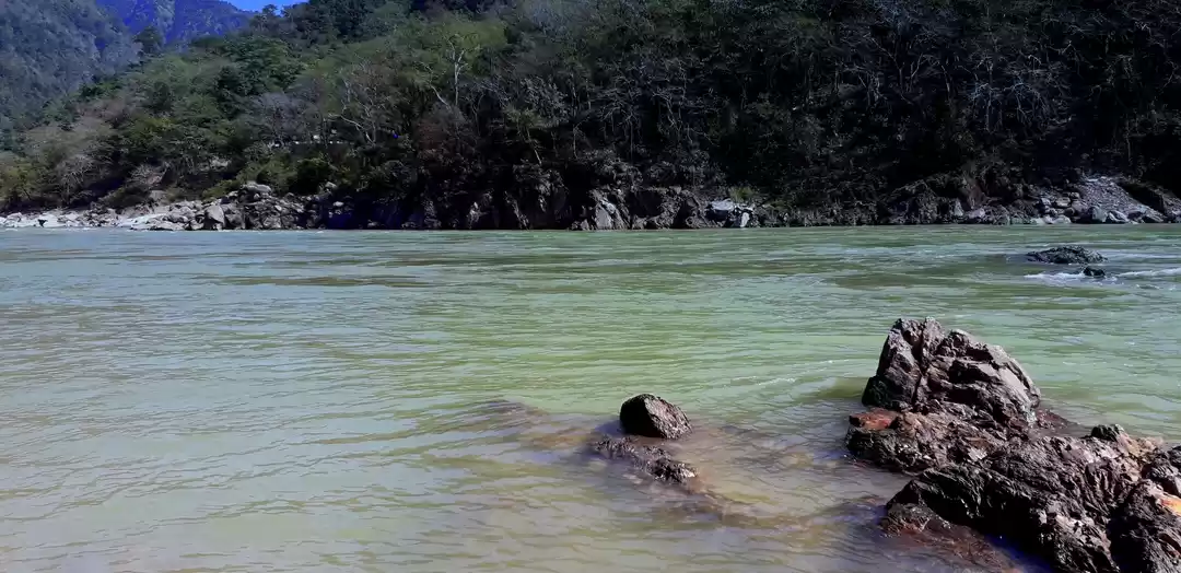 Photo of About Rishikesh!