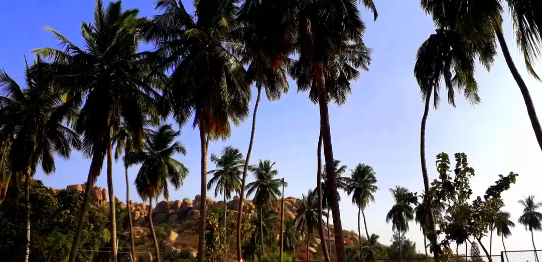 Photo of 6 ways #Travel will 