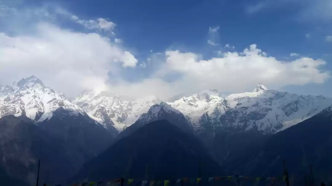 Photo of An Adventurous Hima