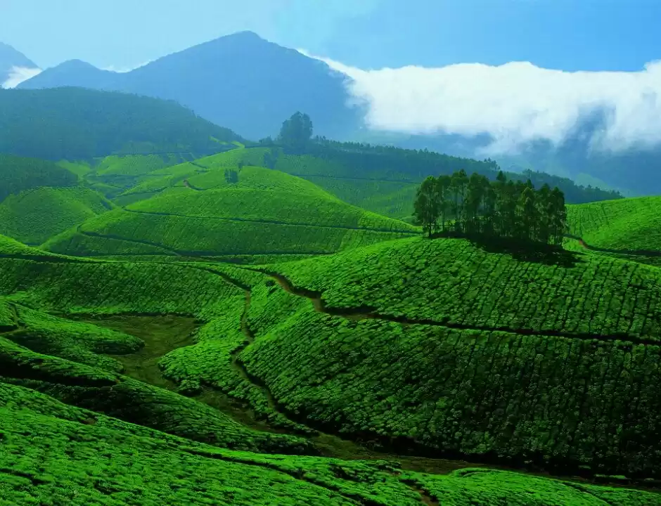 Photo of Munnar – Land with a