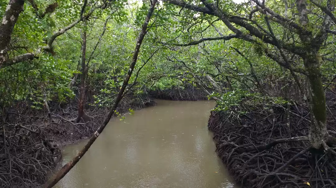Photo of Andamans with my Mom