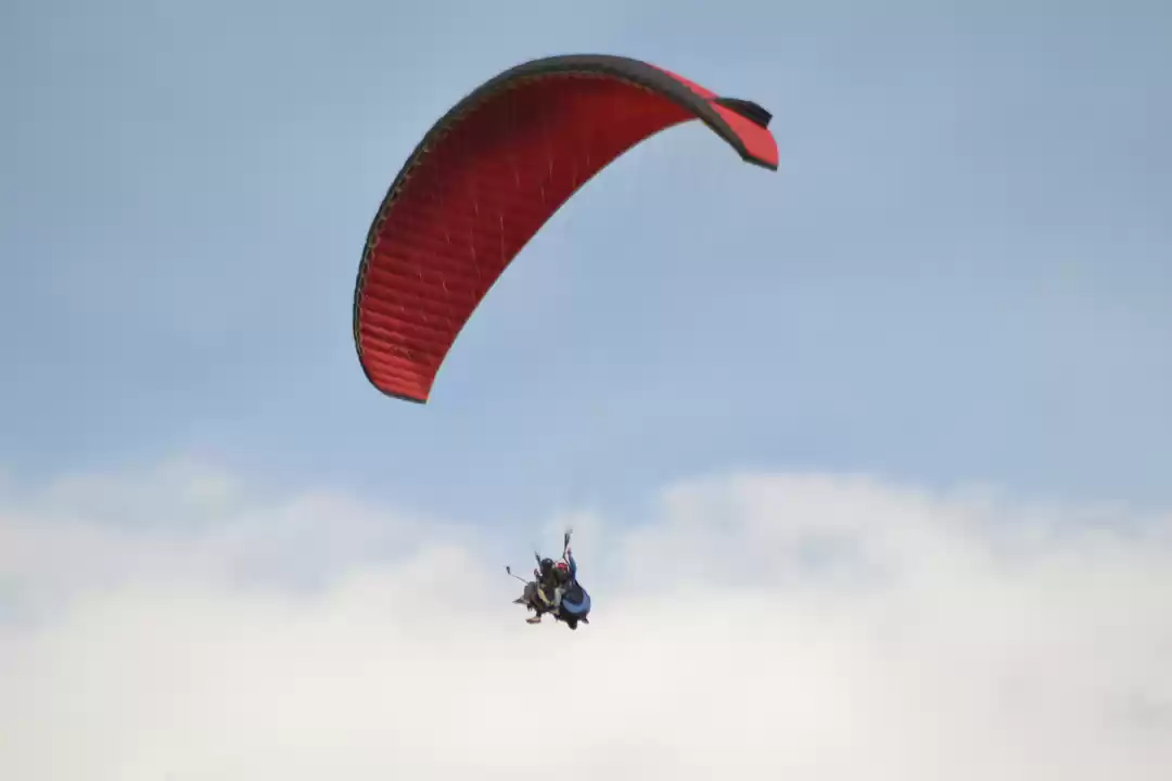 Photo of Bir - Take that plun