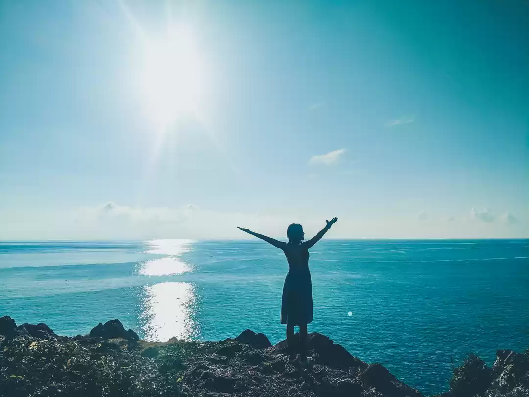 Photo of Have You Watched the