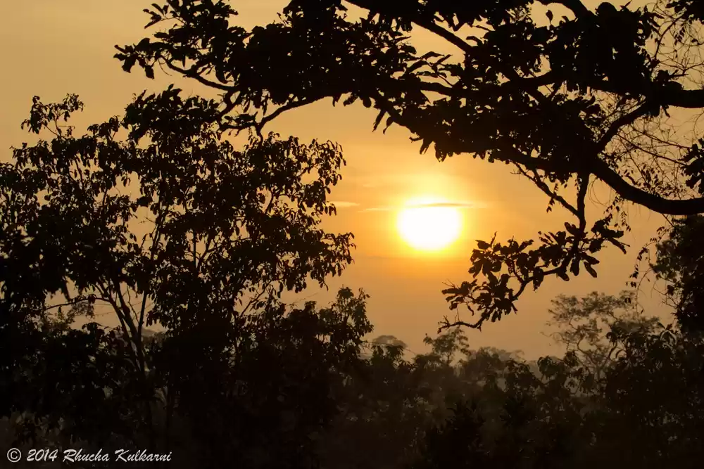 Photo of Into the Wilderness