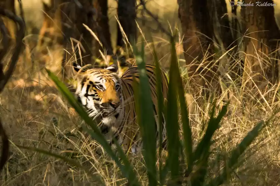 Photo of On the Trail of the 