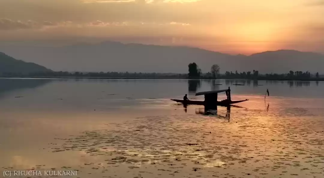 Photo of Shikaras and Sweet N