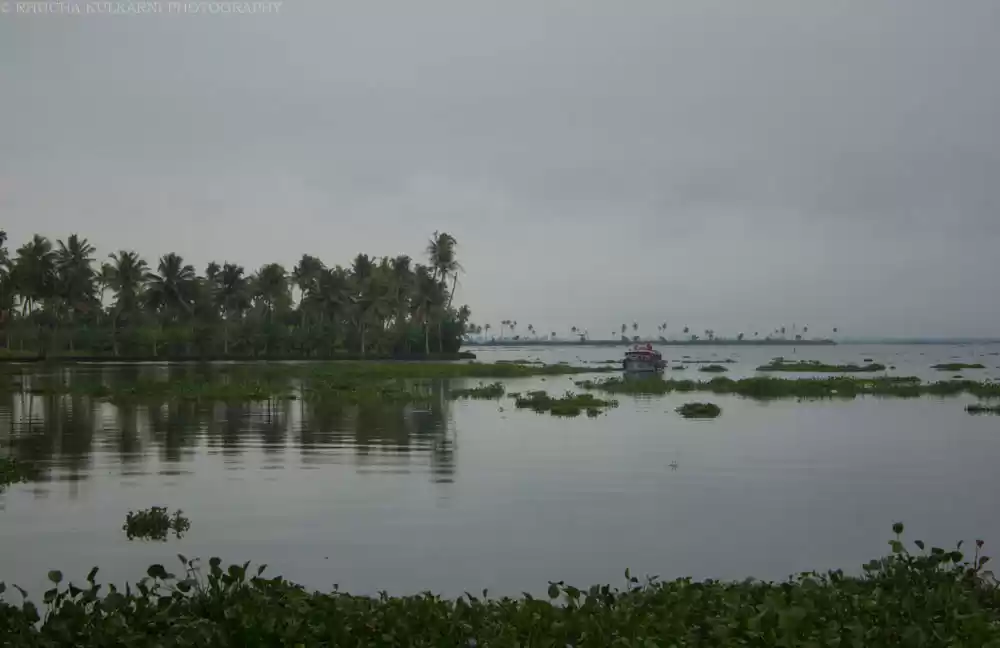 Photo of Soulful and Serene K