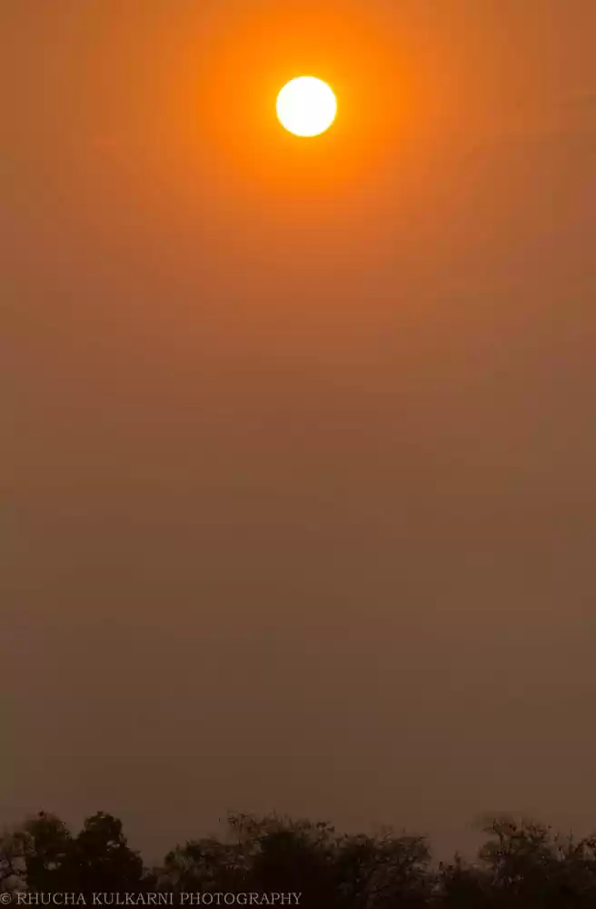 Photo of The Wild Ramp walker