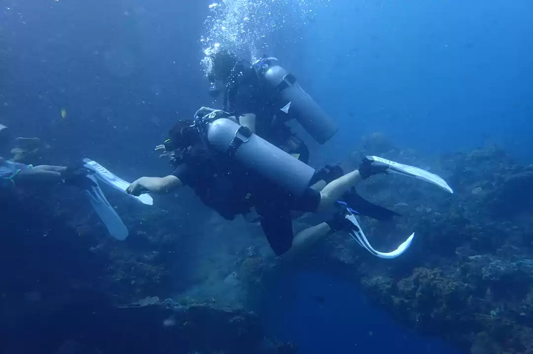 Photo of Life Below the Water