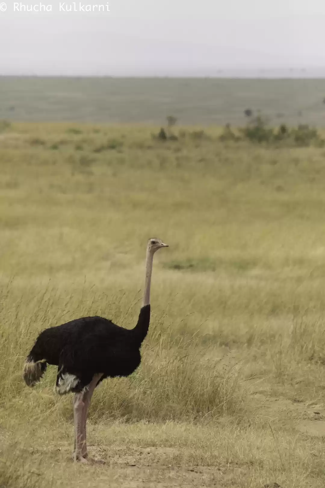 Photo of Meeting the Undisput