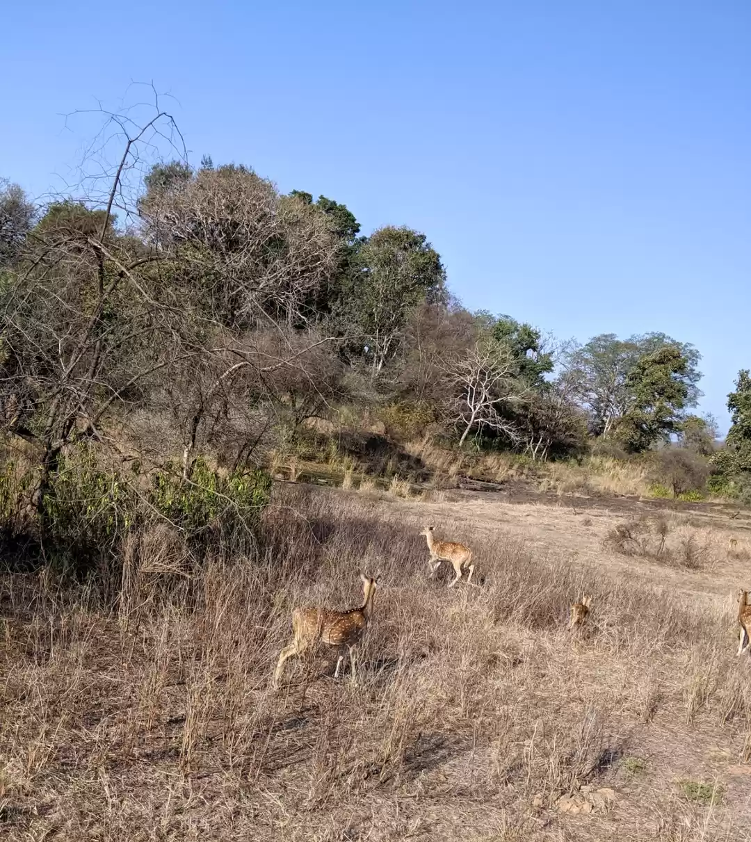 Photo of Weekend Getaway to R