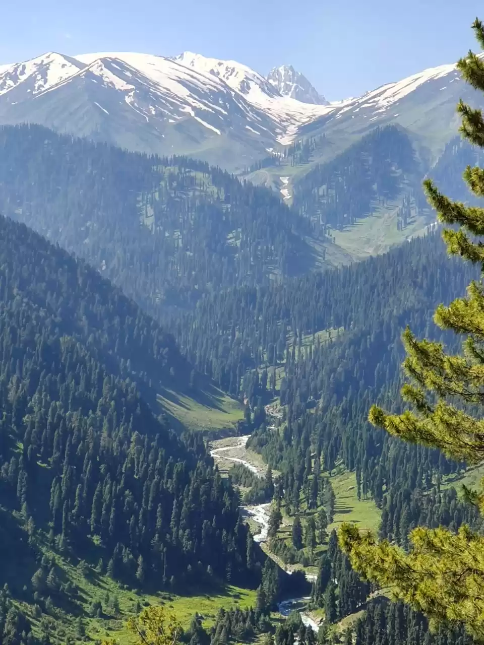 Photo of Jannat-e-Kashmir #mo