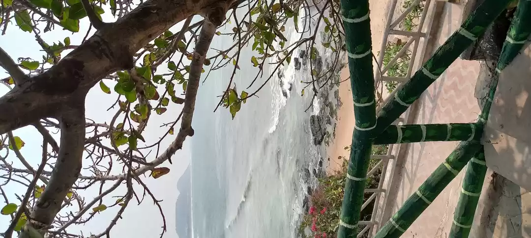 Photo of Beach vibes