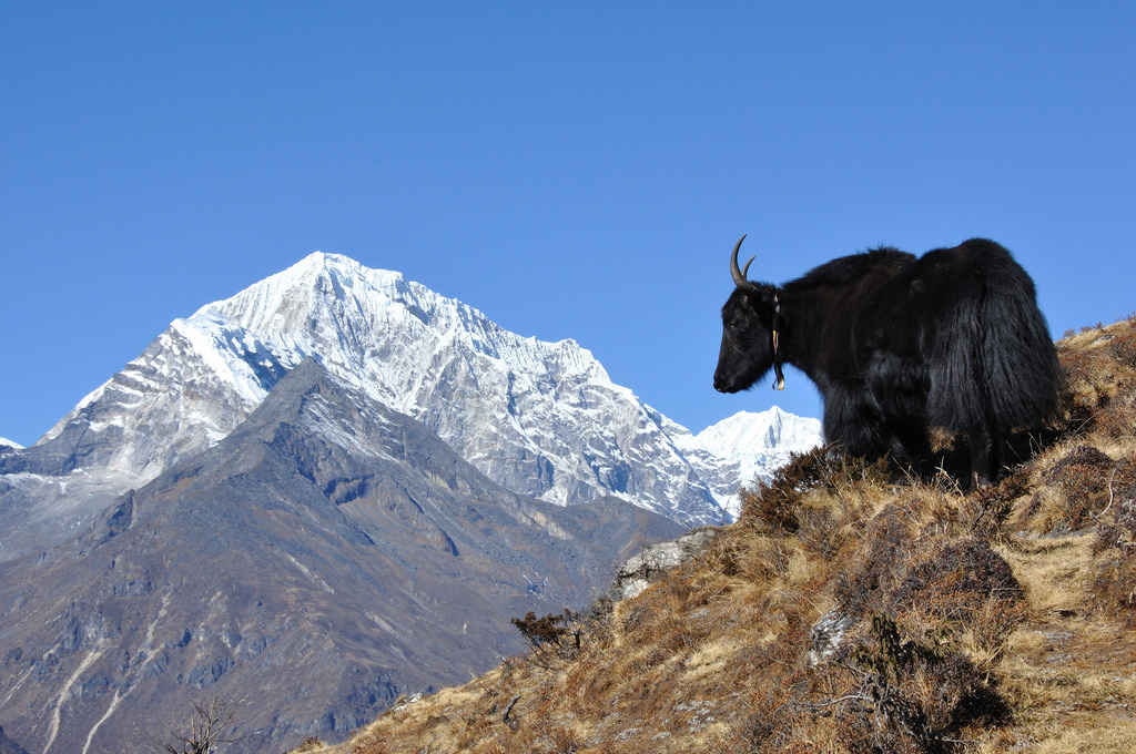 Photo of overland Trek nepal