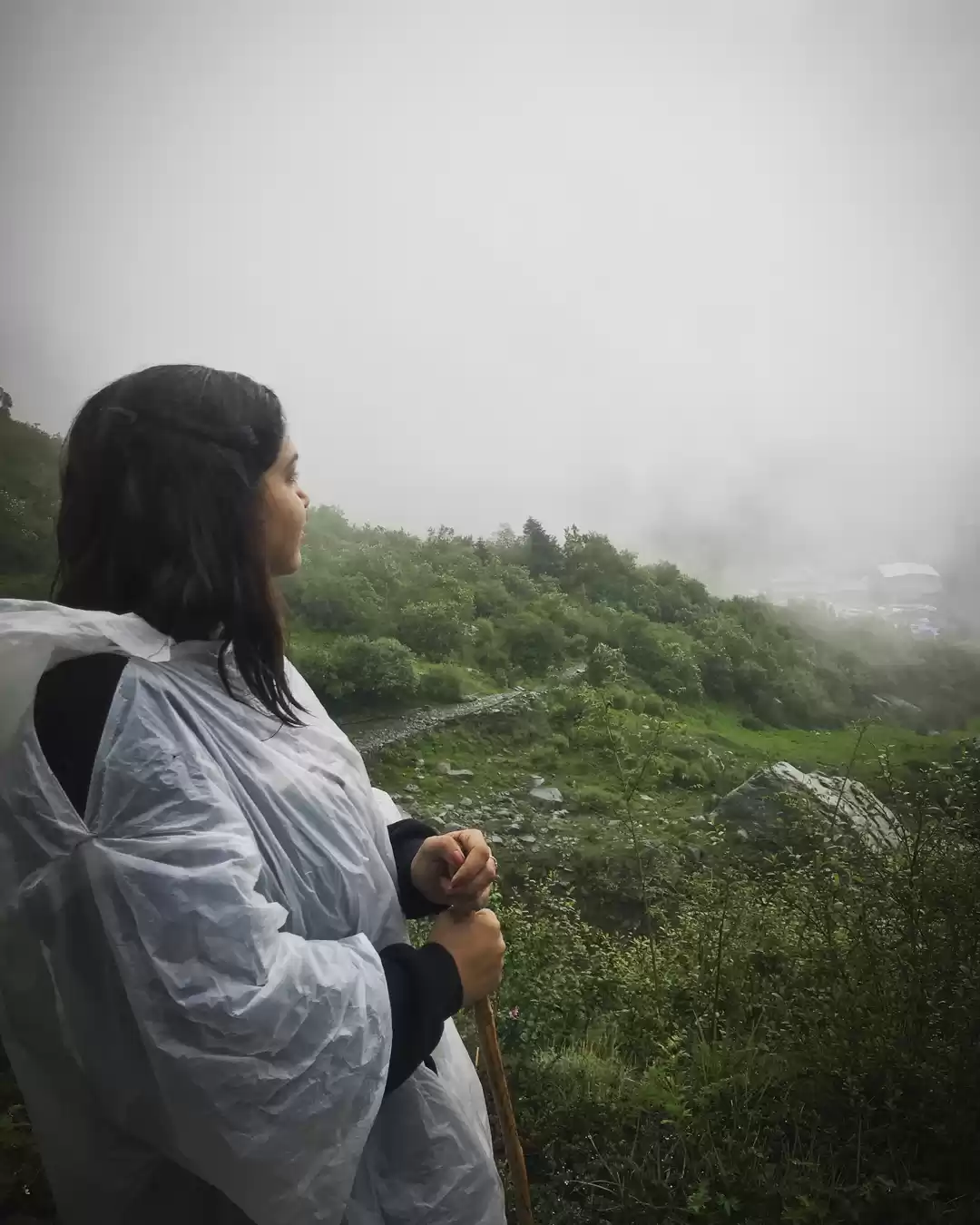 Photo of Valley of Flowers Tr