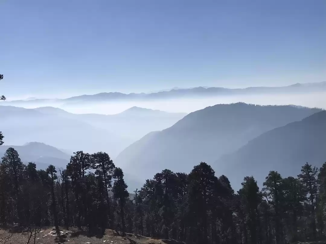 Photo of Shoja: An Undiscover