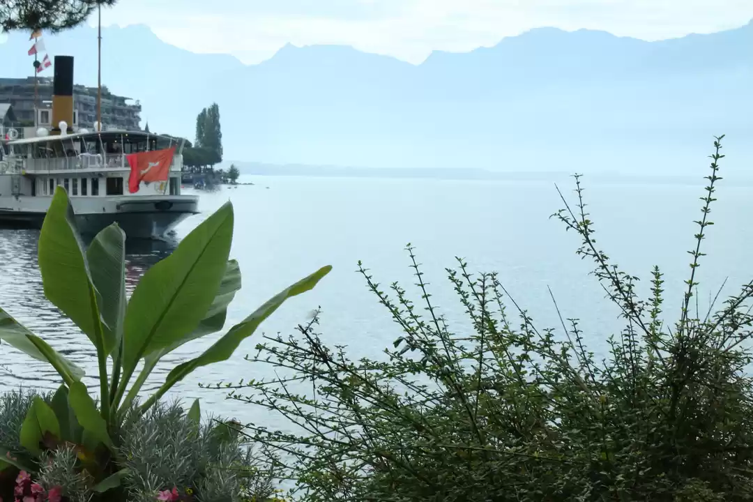 Photo of Switzerland (Paradis