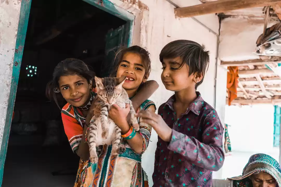 Photo of THIS QUAINT LITTLE K