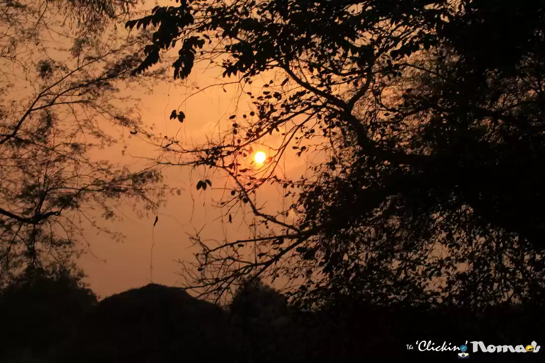 Photo of Bharatpur - a birder