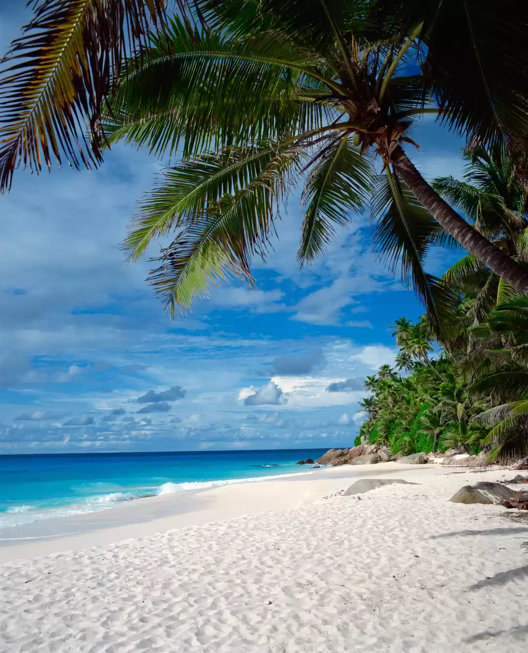 Photo of Seychelles- A perfec