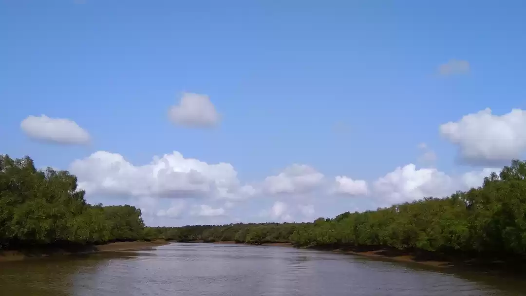 Photo of Bhitarkanika- As bea