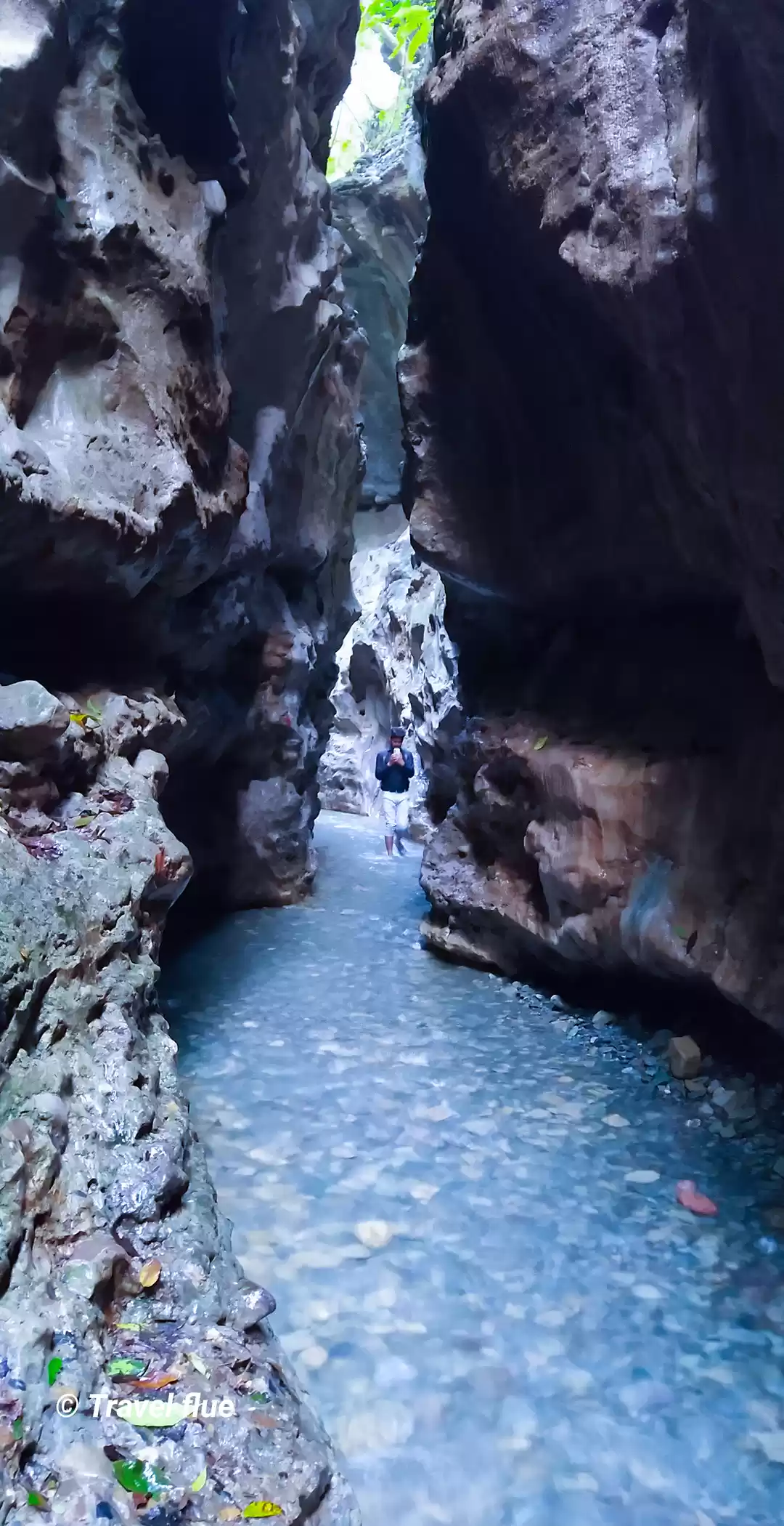 Photo of A Trip to Dehradun(U