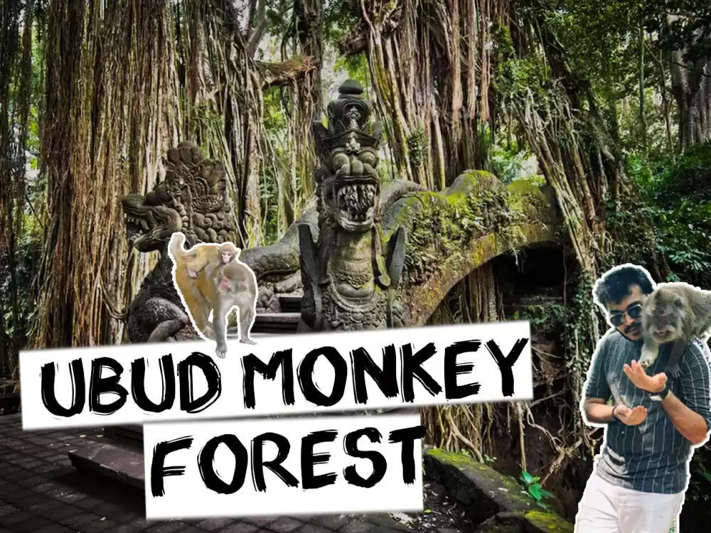 Photo of SACRED MONKEY FOREST
