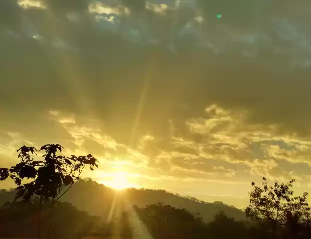 Photo of Mumbai to Vaitrana: 