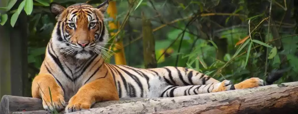 Photo of Covid -19 Isolation 