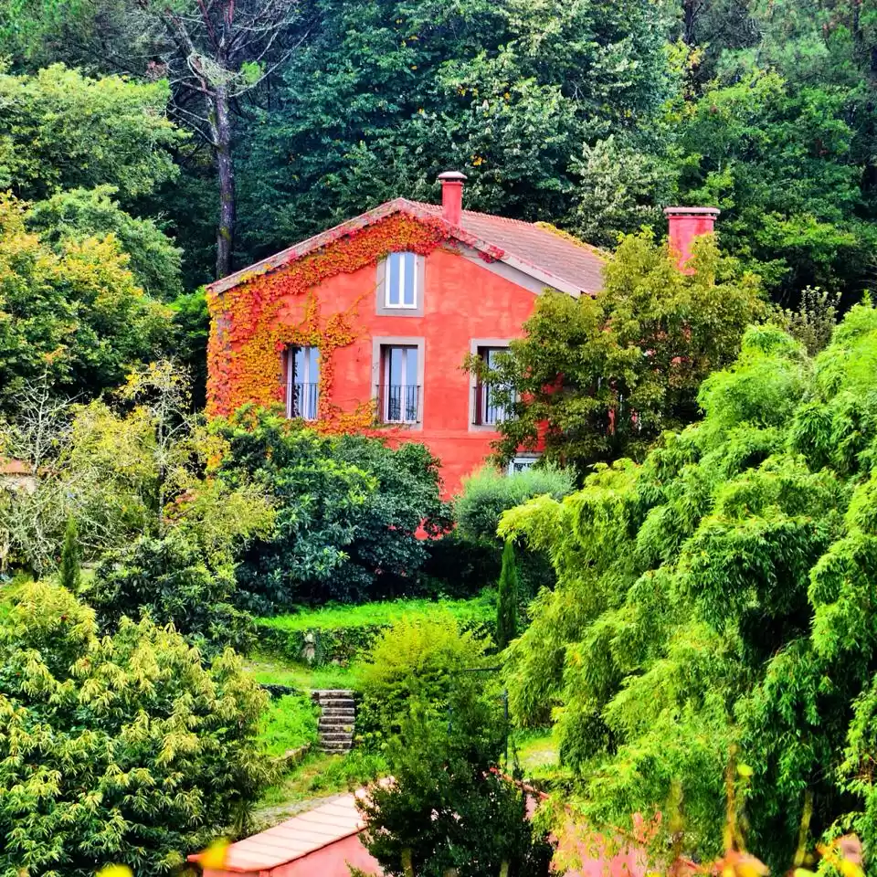 Photo of Portugal's Best Wine