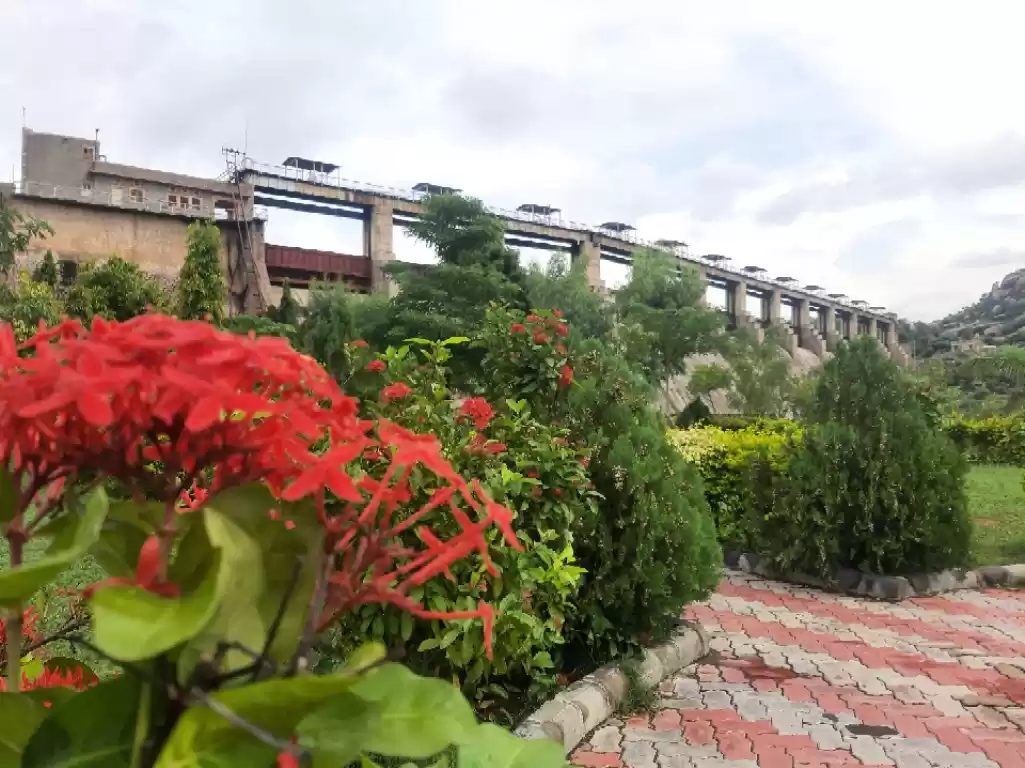 Photo of Jawai bandh