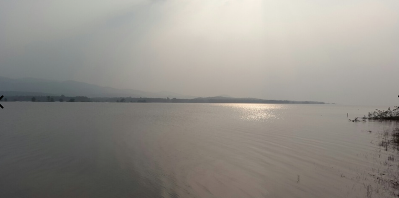 Photo of Ordeal in Jungle - M