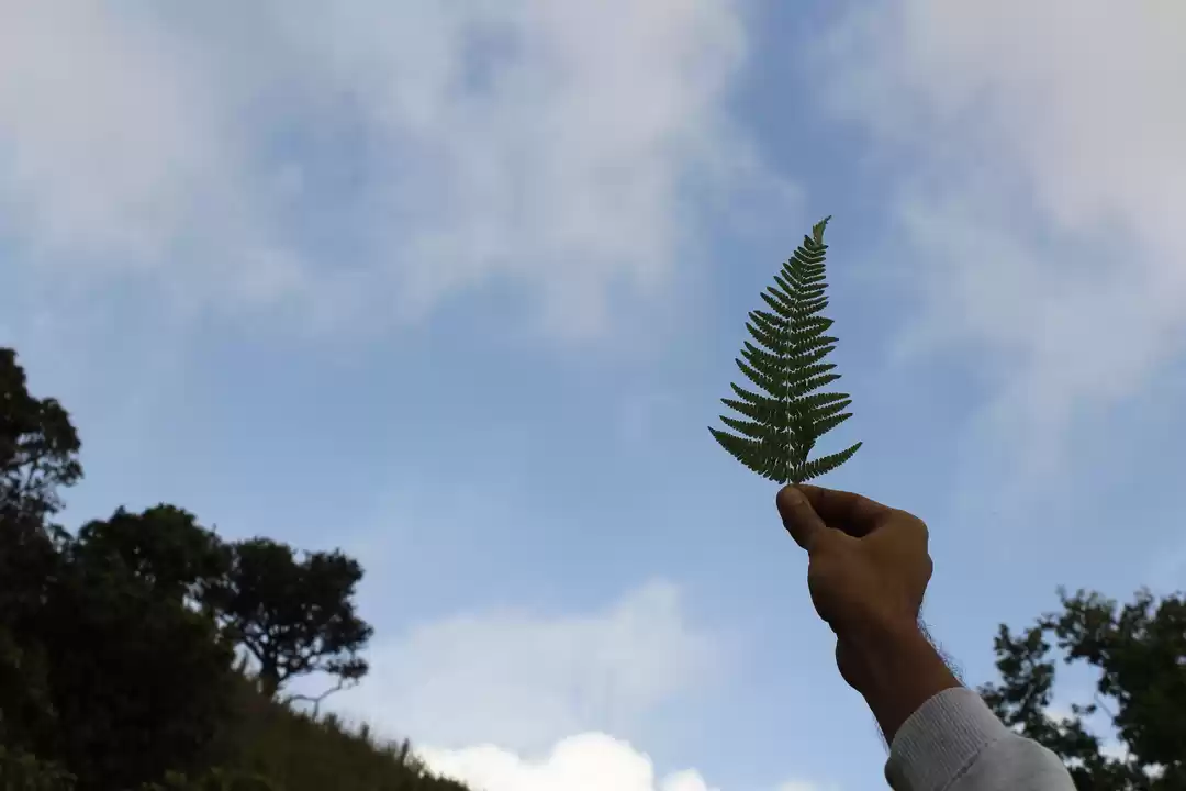 Photo of Travel to Land of Co