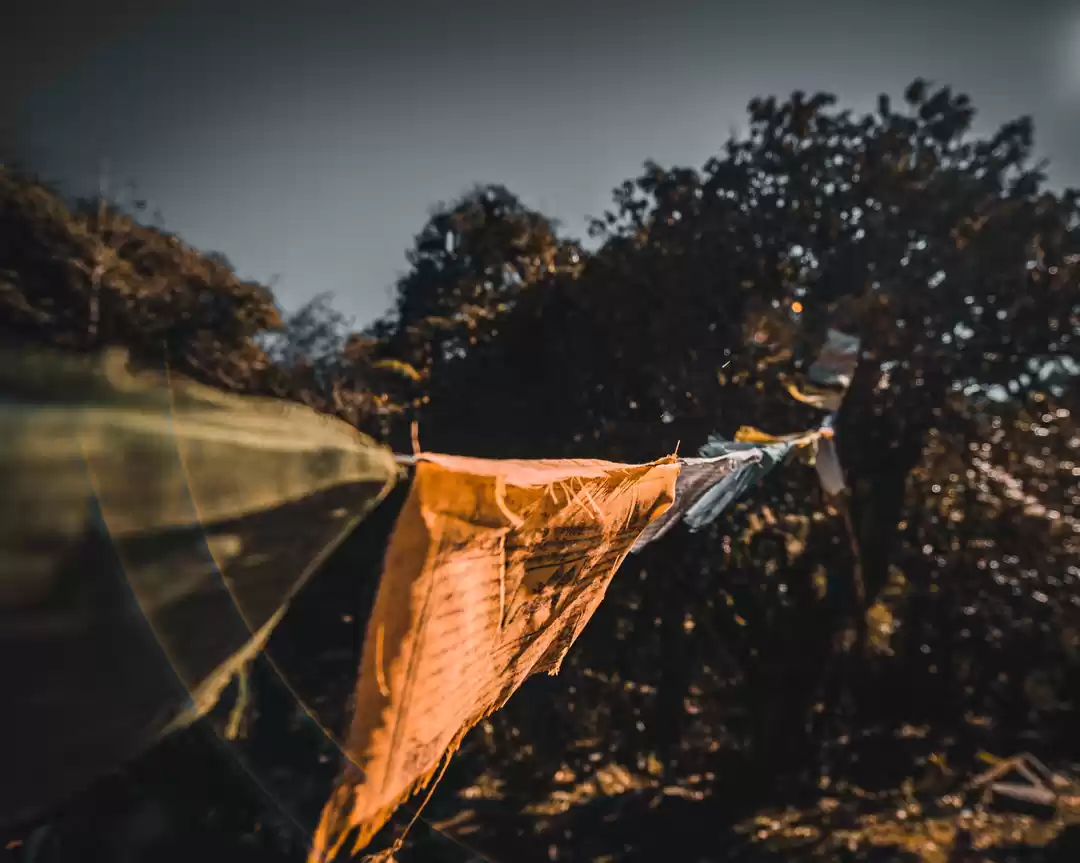 Photo of Dwell in Fearlessnes