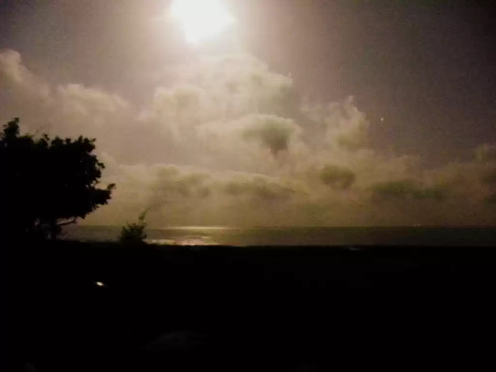 Photo of Coastal Konkan Bike