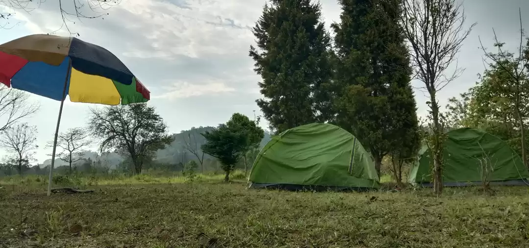 Photo of Tezpur kaliabor