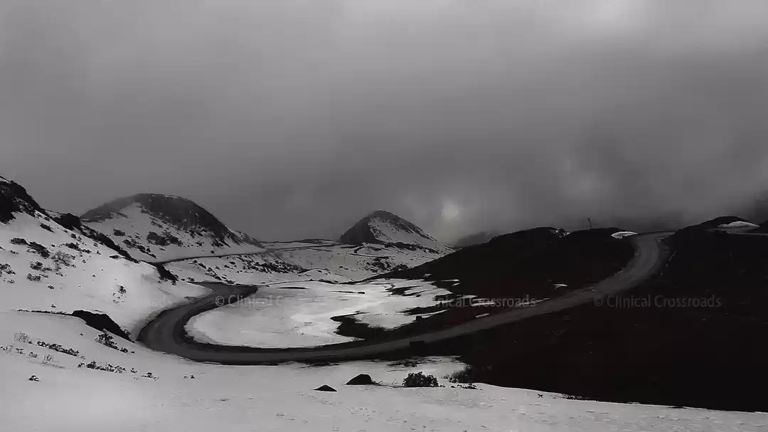 Photo of A Guide to Your Silk