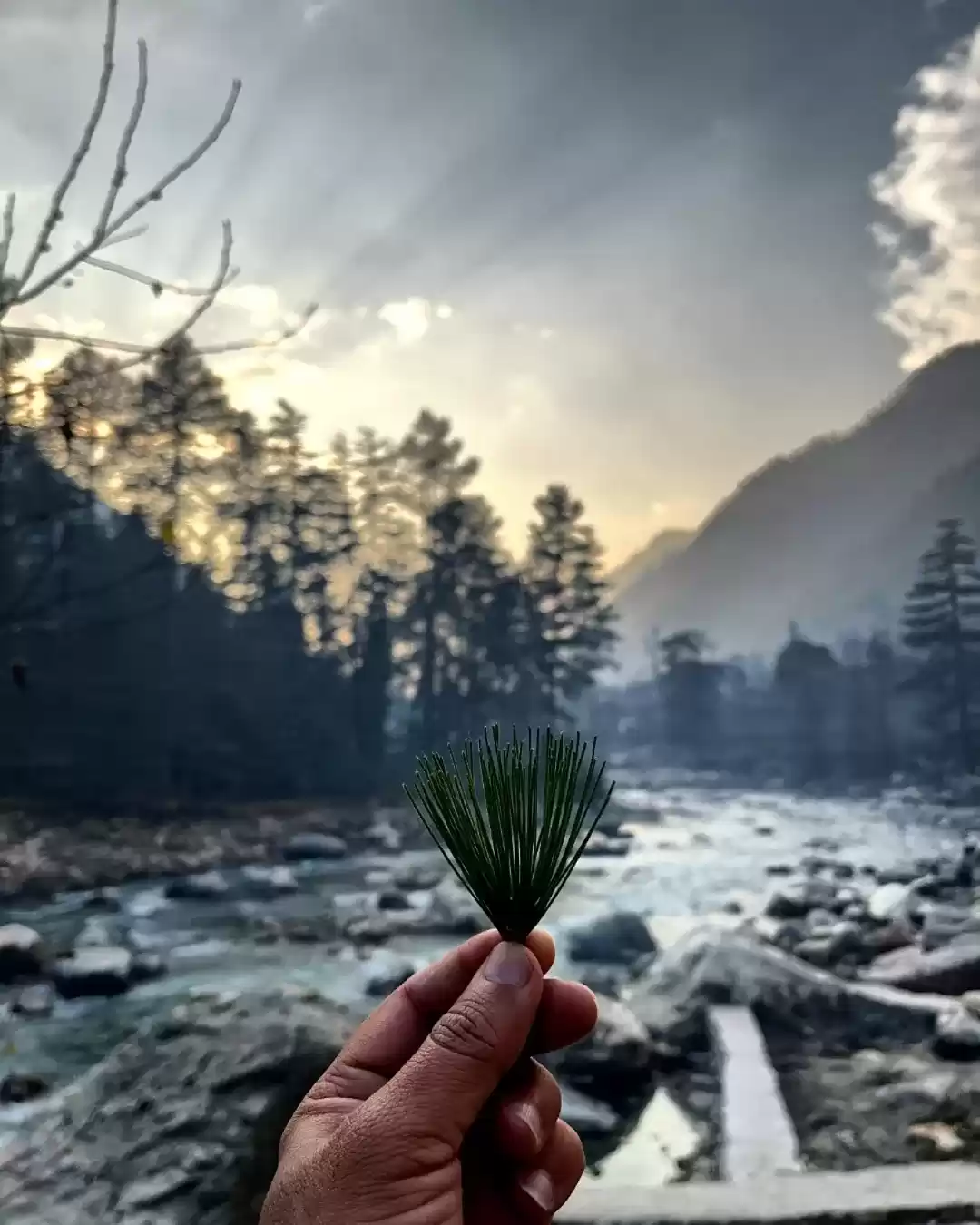 Photo of Why kasol is famous