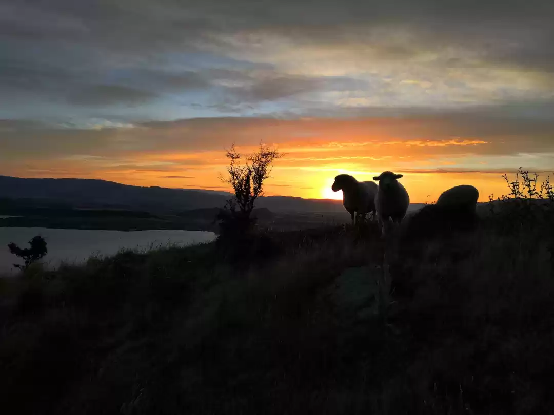 Photo of Wownaka, not Wanaka!