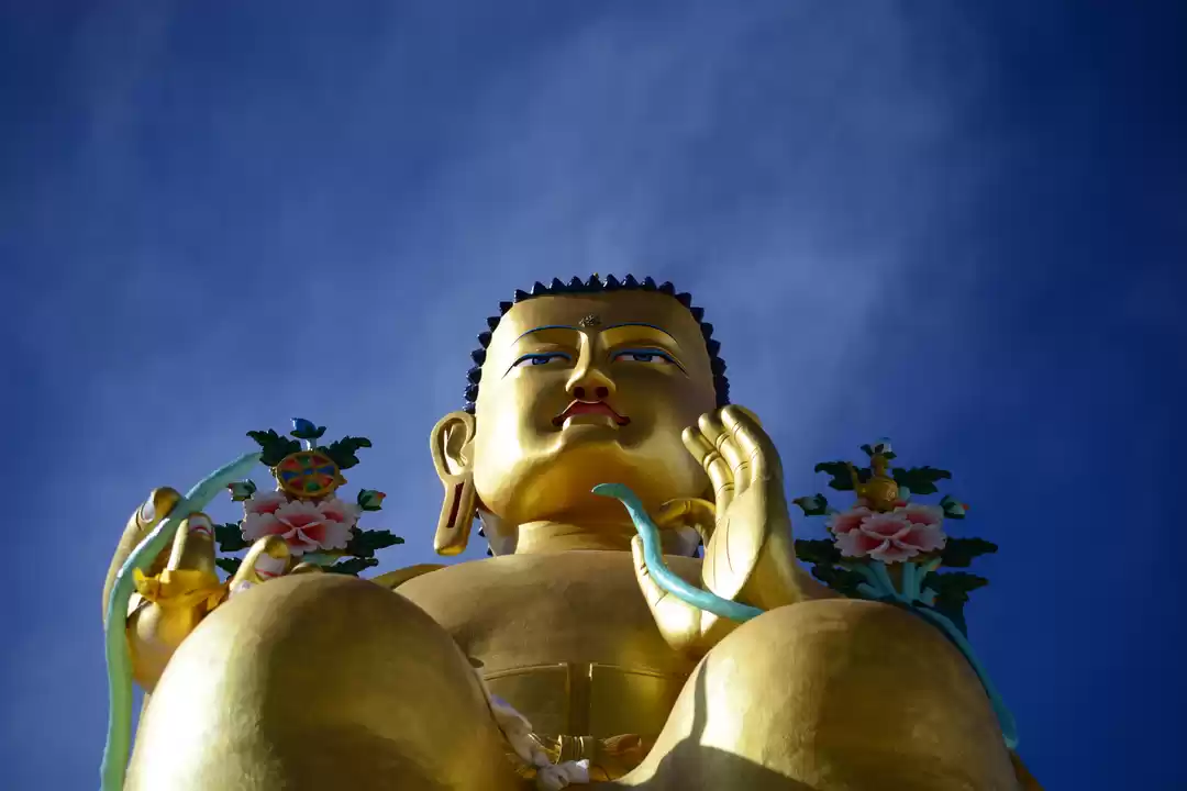 Photo of Looking to lessen yo