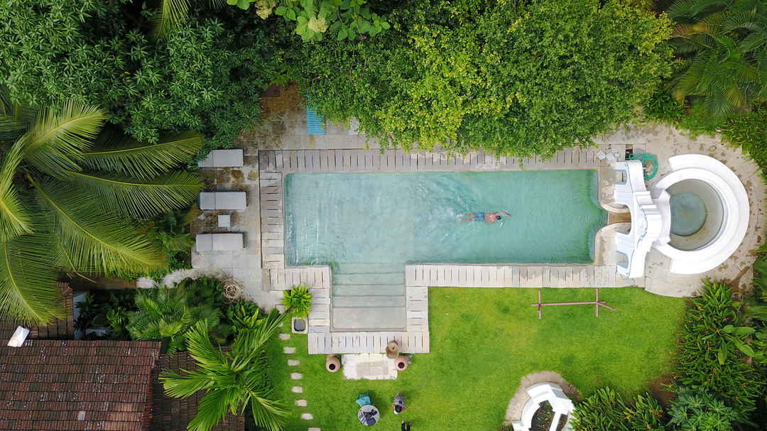 The Worlds Best Drone Photos Be Amazed By These Birds Eye