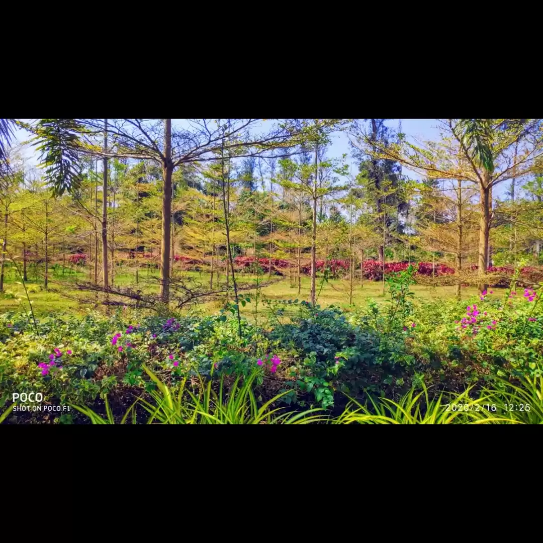 Photo of In the Lap of Nature